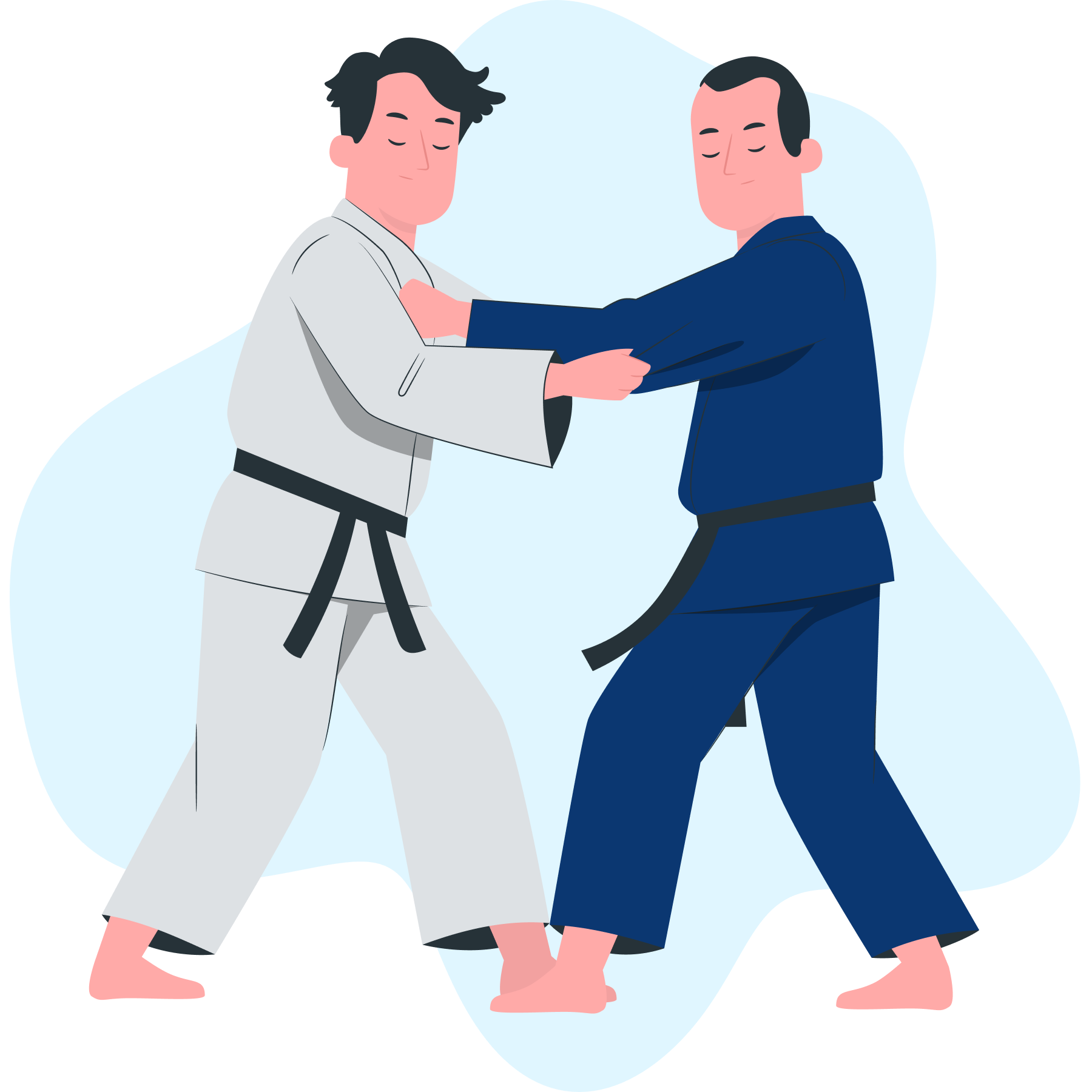 Джиу-джитсу. Технологии и методики проведения занятий