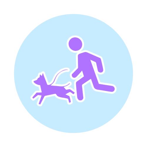 Спорт с собакой