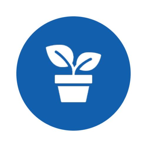 Фитодизайн