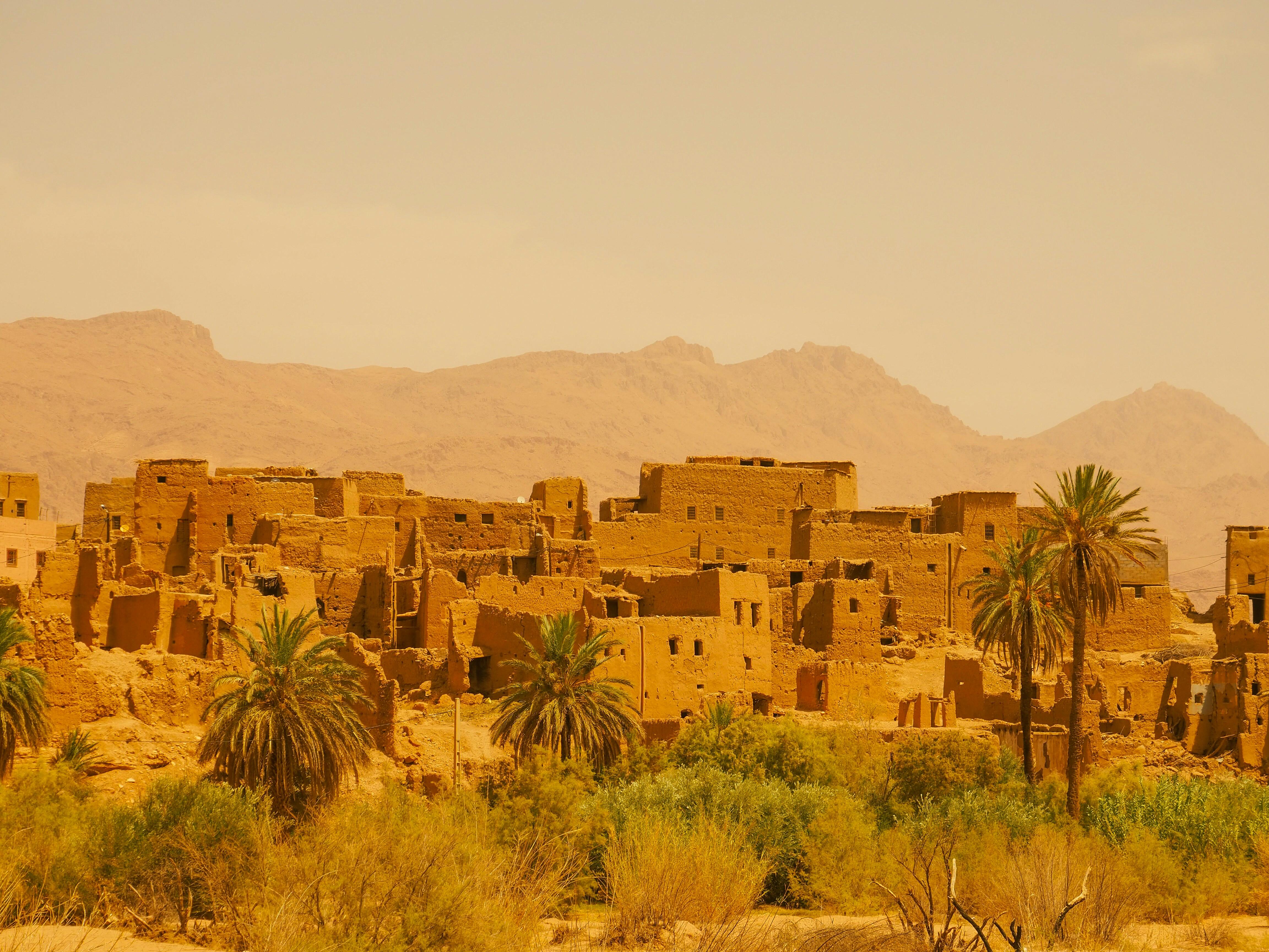 Арабский Восток: история, политика и безопасность