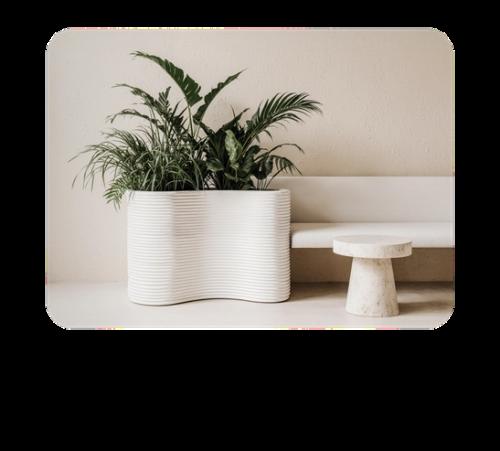 Фитодизайн