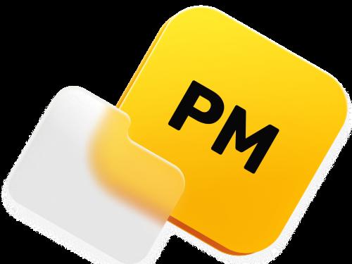 Project Manager в IT