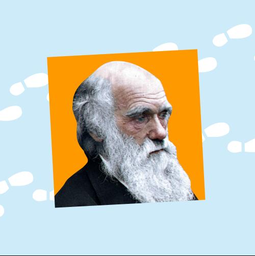 Биология. Эволюционная биология.