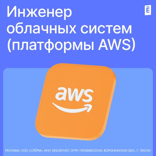 Инженер облачных систем (платформы AWS)