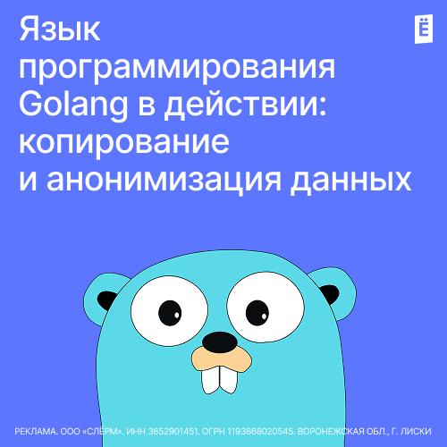 Язык программирования Golang в действии: копирование и анонимизация данных
